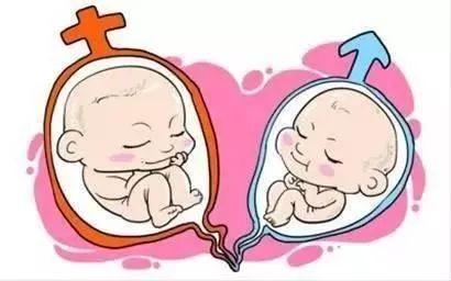 有偿试管代妈机构